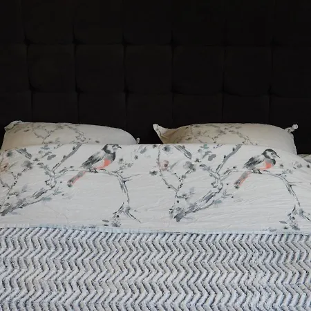 ホームステイ Casa Del Castell