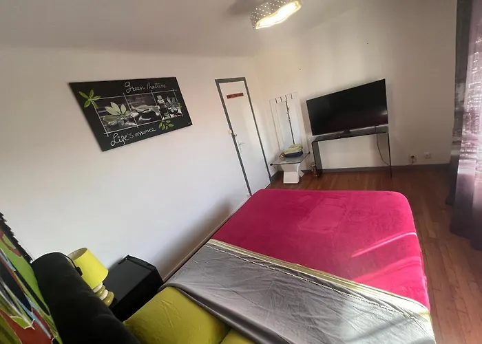 Casa Del Castell Homestay Carcassonne