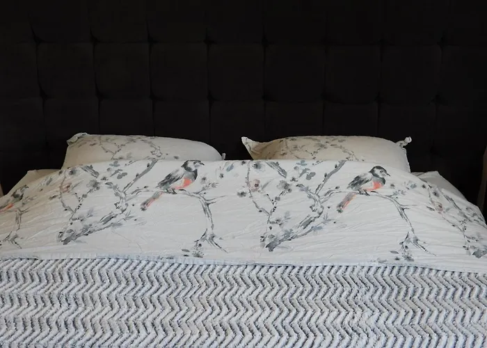 Homestay Casa Del Castell