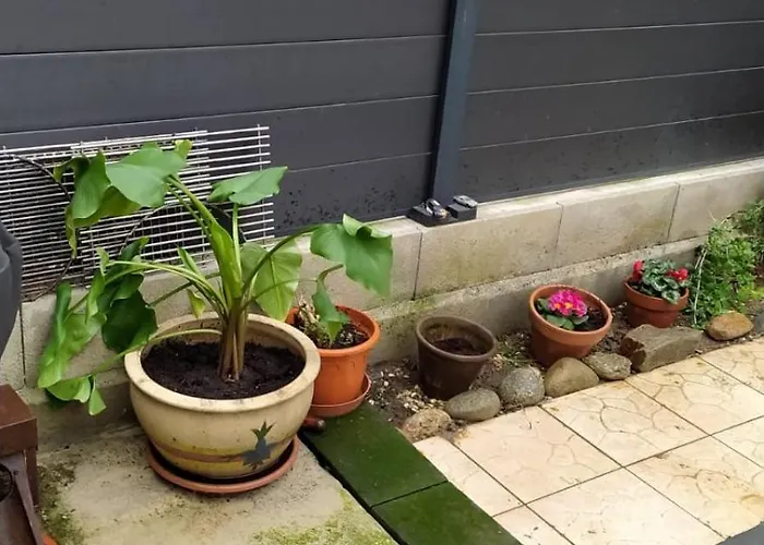 Casa Del Castell ホームステイ